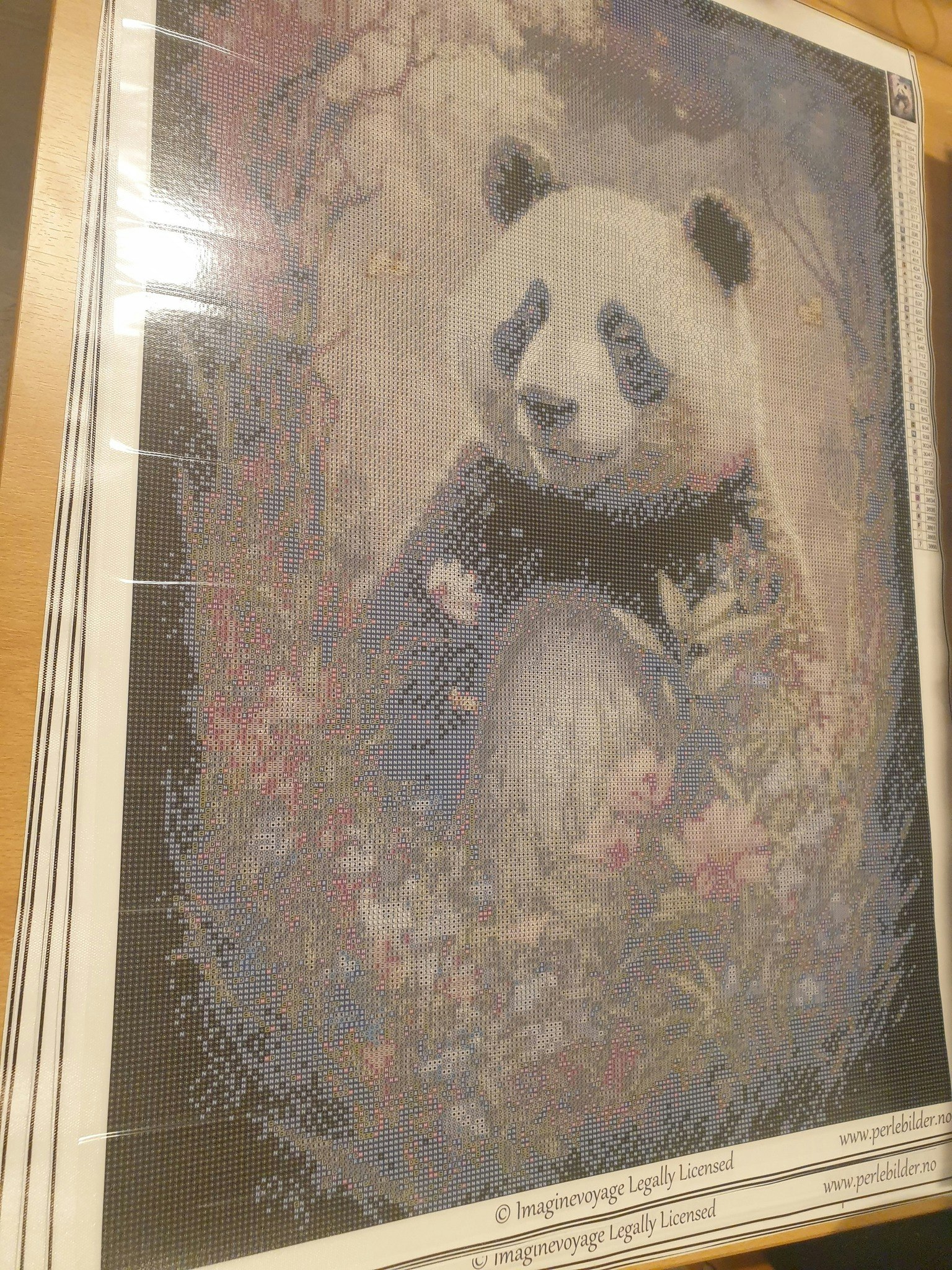 Panda i blomstereng