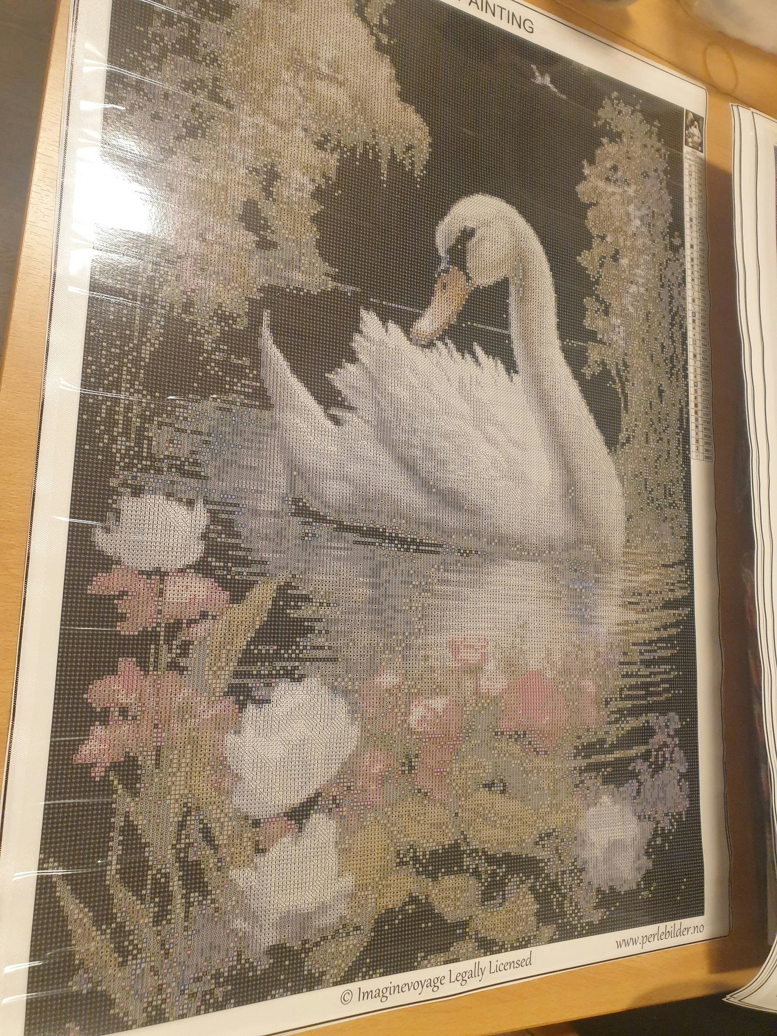 Svane i dammen
