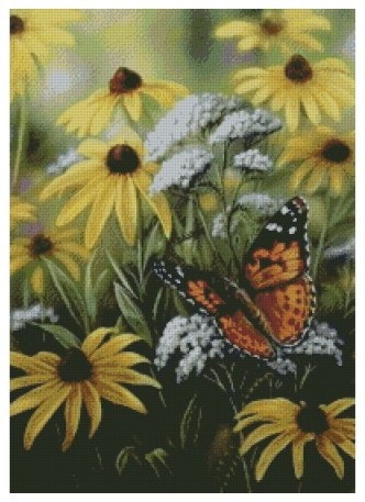 Sommerfugl og gule blomster