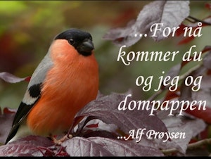Du og jeg og dompappen ©Perlebilder