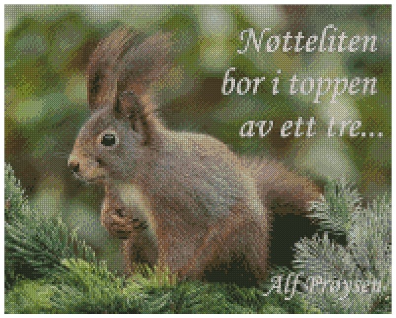 Nøtteliten ©Perlebilder