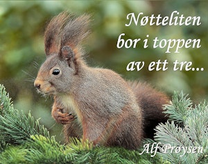 Nøtteliten ©Perlebilder