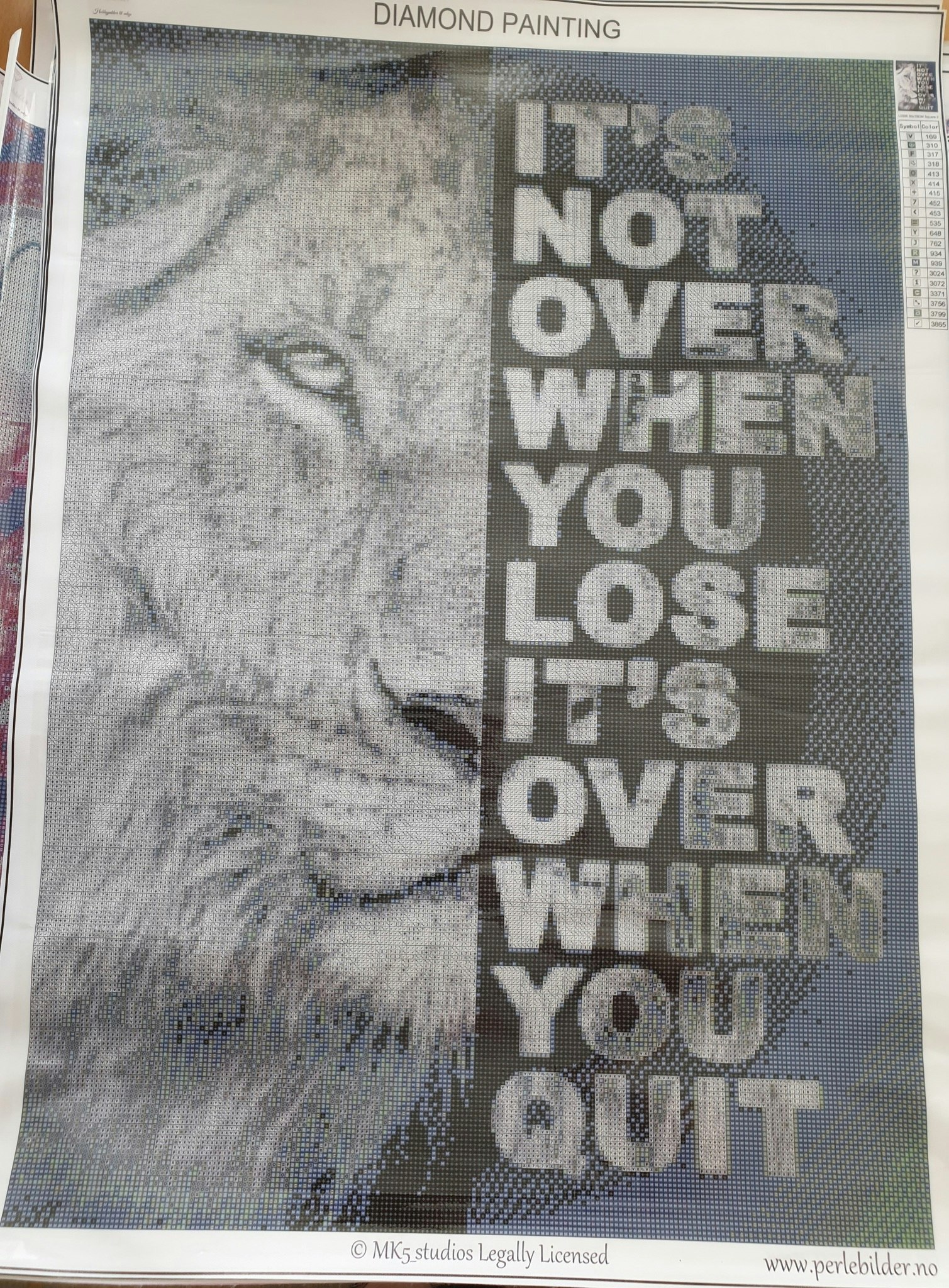Løve its not over when you lose.. ©MK5 studio