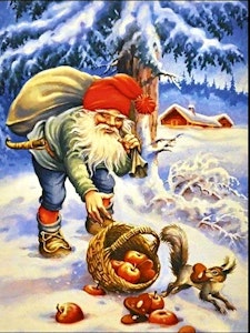 Nisse med epler
