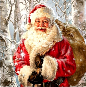 Nisse med sekk i bjørkeskog