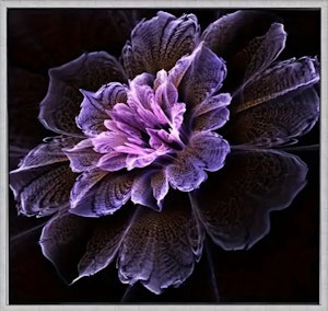 Broderi kit Korssting fantasi blomst 40x40