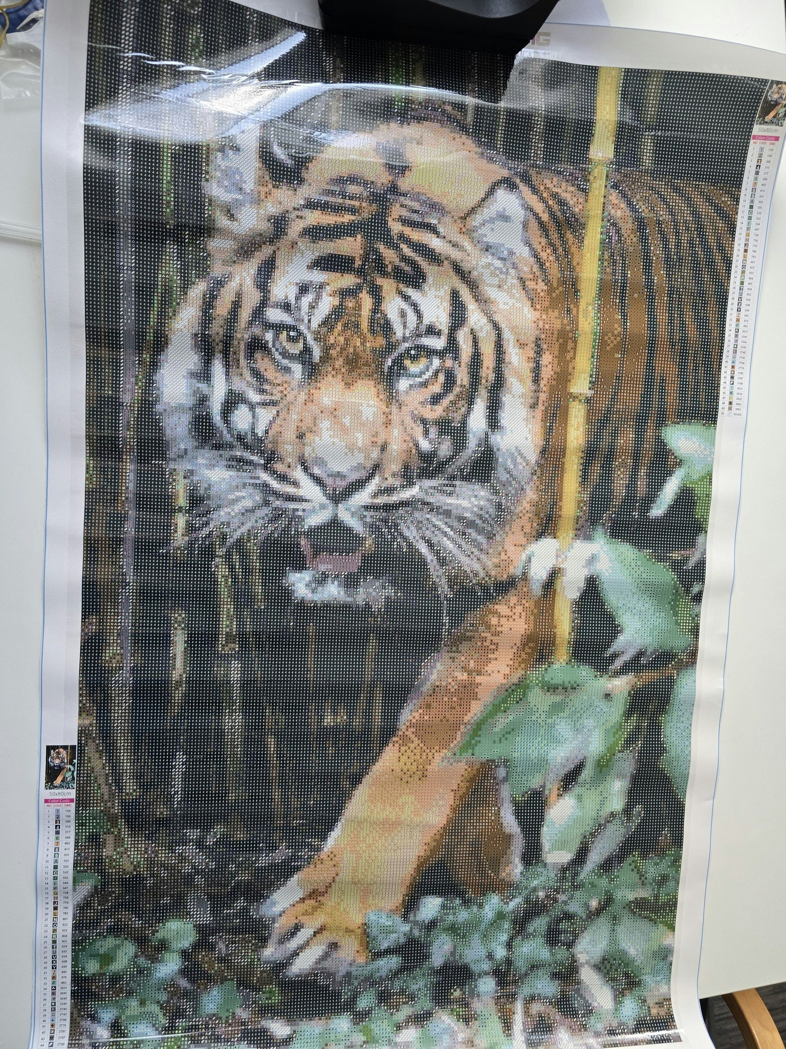 Tiger blant bambus , spesial bilde