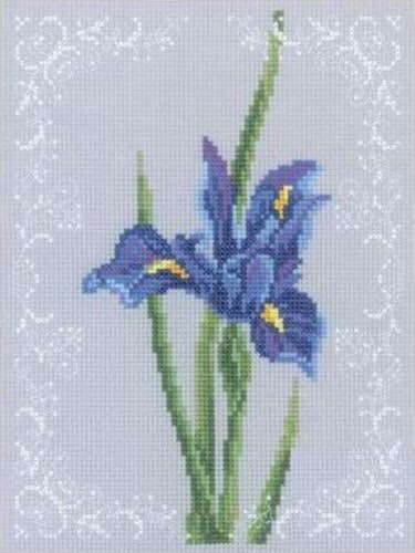 Broderi kit korssting bilde blå iris 15x20 cm