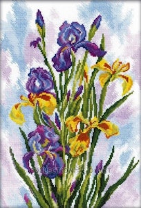 Broderi kit korssting bilde, iris i vannfargerr 24x35 cm