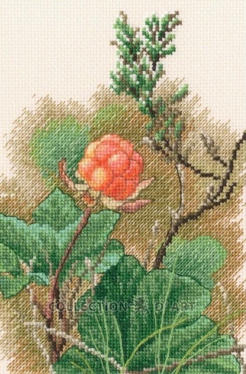 Broderi kit korssting bilde, multe 12x17,5 cm