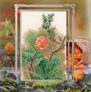 Broderi kit korssting bilde, multe 12x17,5 cm