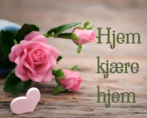 Hjem kjære hjem © Perlebilder