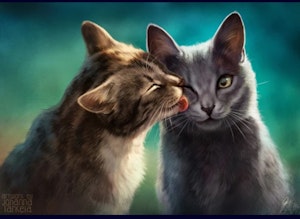 I give you a kiss