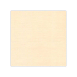 583007 Cardstock A4 Champange