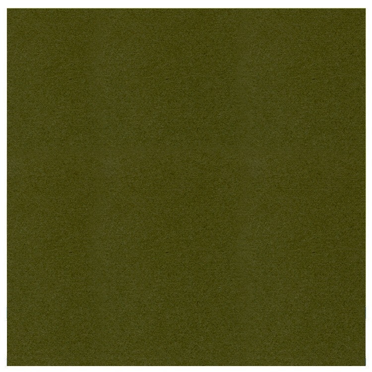 583055 Cardstock A4 Pine Green