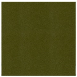 583055 Cardstock A4 Pine Green