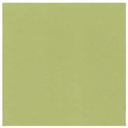 582054 Cardstock Linnestruktur Avocado