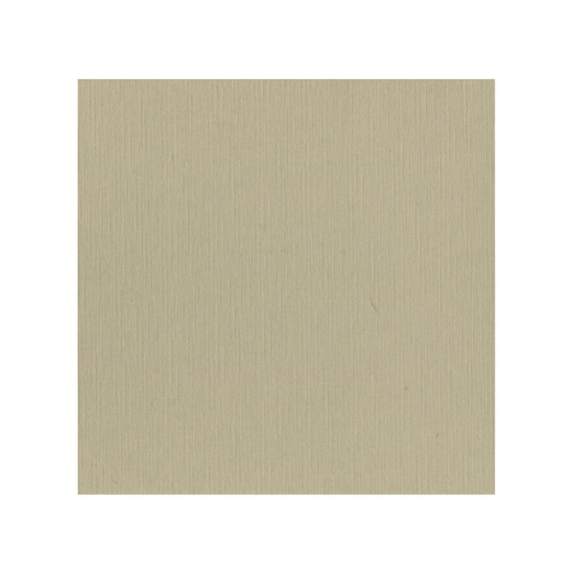 583053 Cardstock A4 Taupe