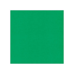 583022 Cardstock A4 Grön