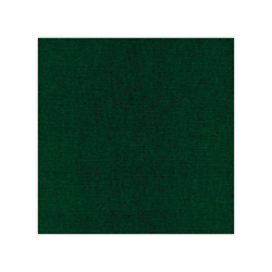 583023 Cardstock A4  Christmas green