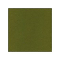 583041 Cardstock A4 Moss Green