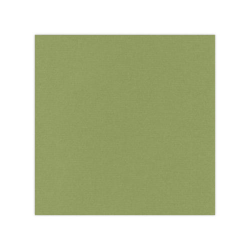 583046 Cardstock A4 Olivgrön