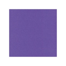 583018 Cardstock A4 Violett