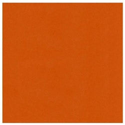 583059 Cardstock A4 Autumn Orange