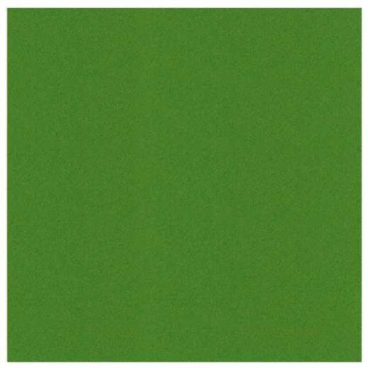 583060 Cardstock A4  Fern Green
