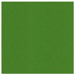 583060 Cardstock A4  Fern Green