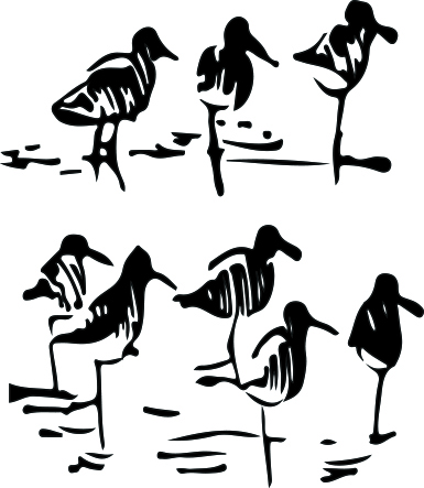 1477-Gummistämpel Sjöfåglar
