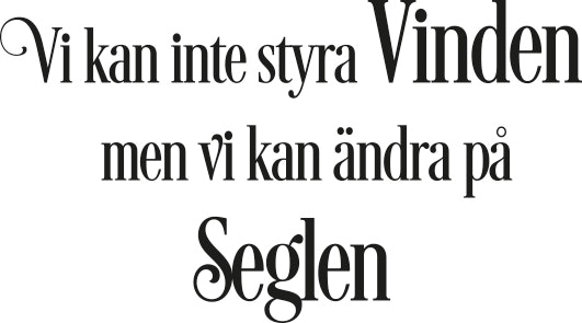 357 - Gummistämpel Vi kan inte styra vinden.......