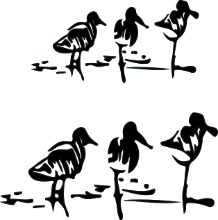 1561-Gummistämpel Minis Stranfåglar i 2 storlekar