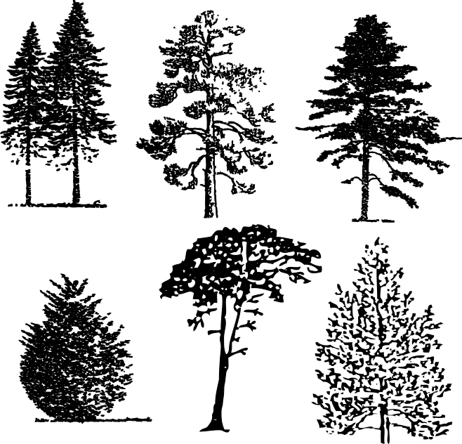 14121-Gummistämpel 6 st olika  Träd