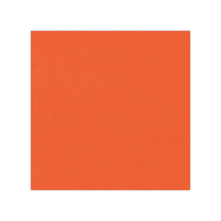 582011 Cardstock Linnestruktur Orange