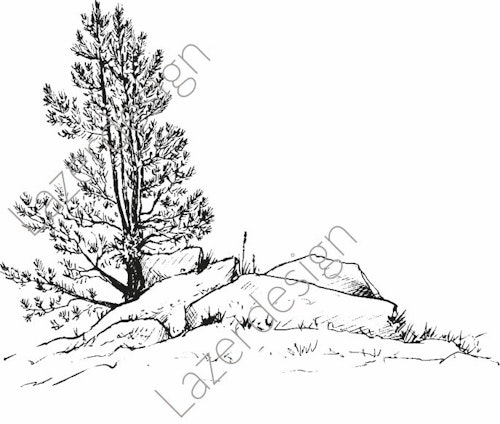 14188-Stämpel träd vid stenröse