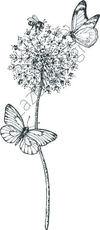 14216-Stämpel Växter o fjärilar