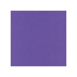 582018 Cardstock Linnestruktur Violet