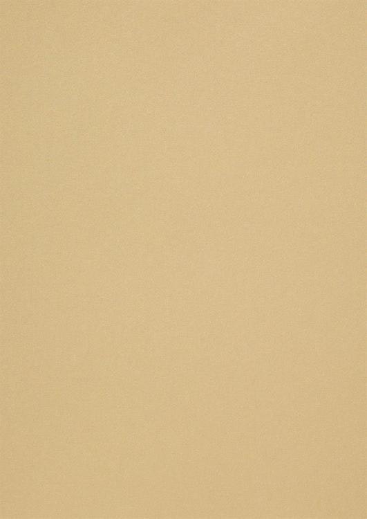 558710-5 ArkPapper metallic Champange