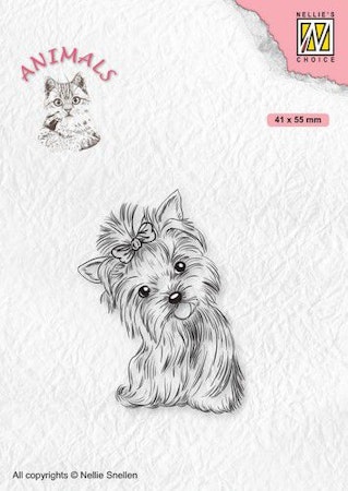 ANI020 Clearstamp Yorkshire terrier