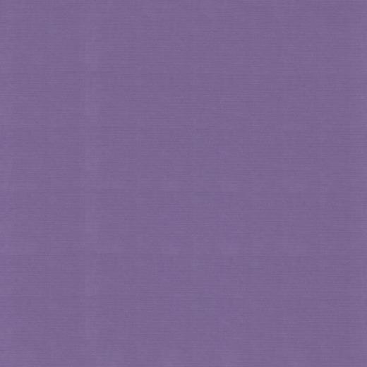 582062 Cardstock Linnestruktur  Grape