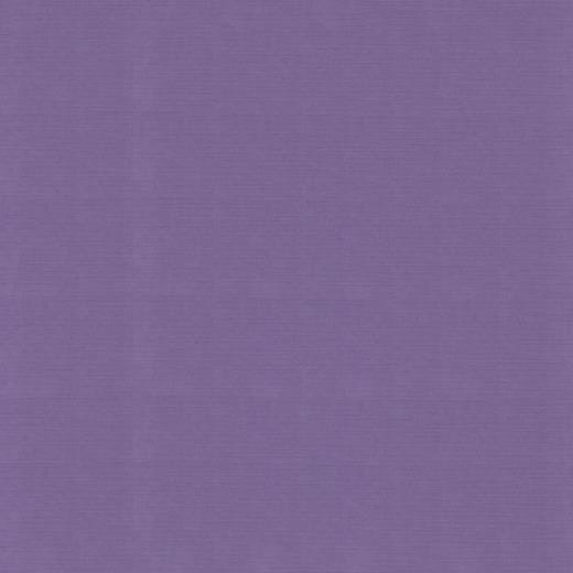 582062 Cardstock Linnestruktur  Grape