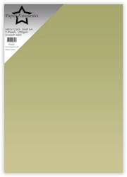 PFSS009  1 st Mirror Card - Matt A4 Smooth Mint