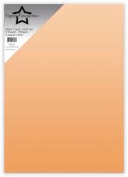 PFSS008  1 st Mirror Card - Matt A4 Copper Mine