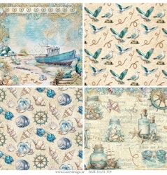 2024-31x31-319 Hav o strand
