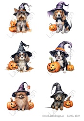 LDKL-1027 Klippark Hundar Halloween