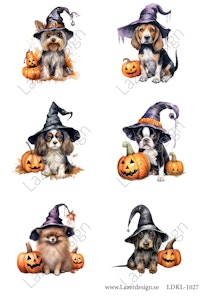 LDKL-1027 Klippark Hundar Halloween