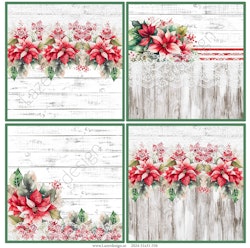 2024-31x31-356 Blommor