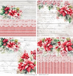 2024-31x31-357 Blommor