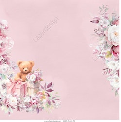 2025-31X31-71 Rosa Baby
